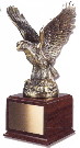 8801W Eagle