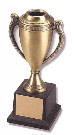 9080P Victory Cup