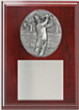 plaque